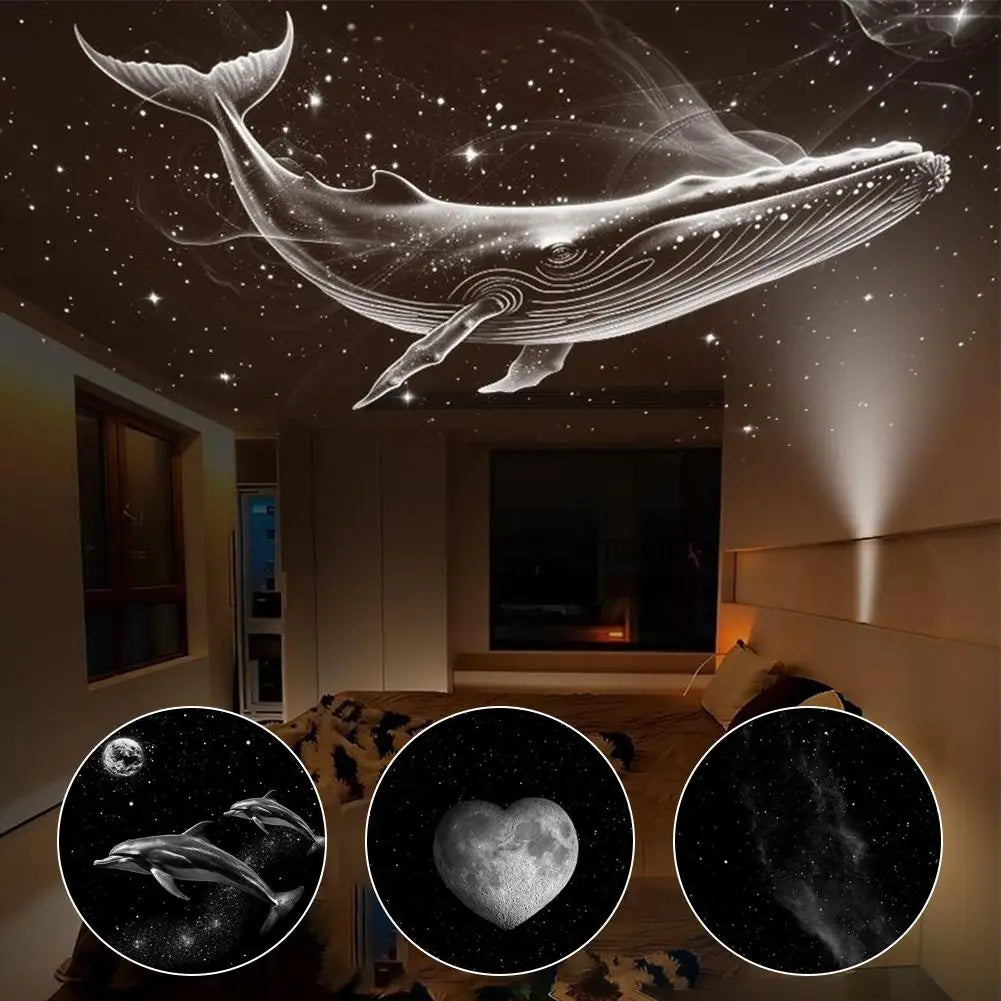 Starry Sky Projector Slides 3-24Pcs Replacement Disc Nebula Simulation Films Wide Angle for Kids Night Light Planetarium New